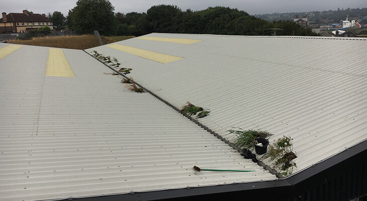Gutter Cleans