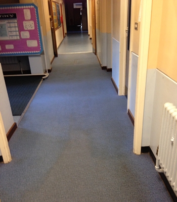 Carpet Cleaning