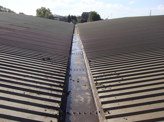 Gutter Cleans