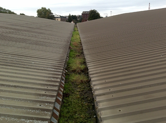 Gutter Cleans
